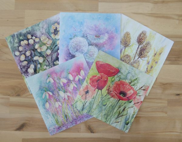 Flowers and Seedheads collection of greetings cards