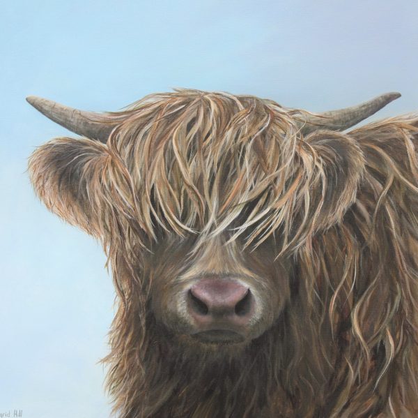 Hattie - a highland cow greetings card