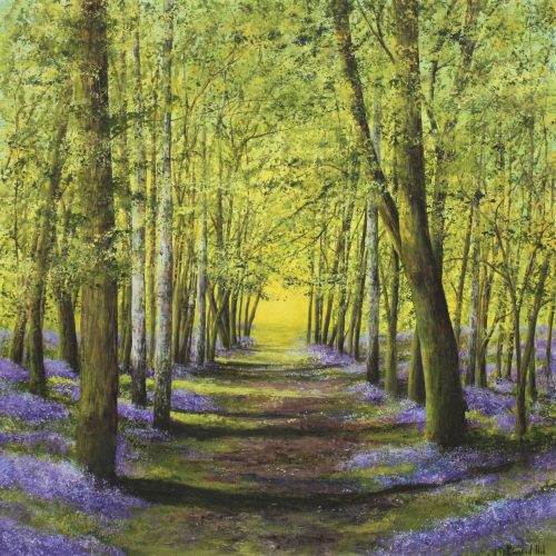 Into the Light- a bluebell greetings card