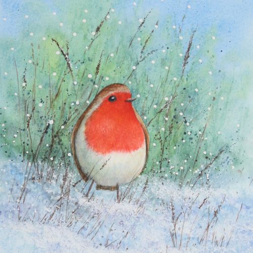 Robin Redbreast - a Christmas greetings card