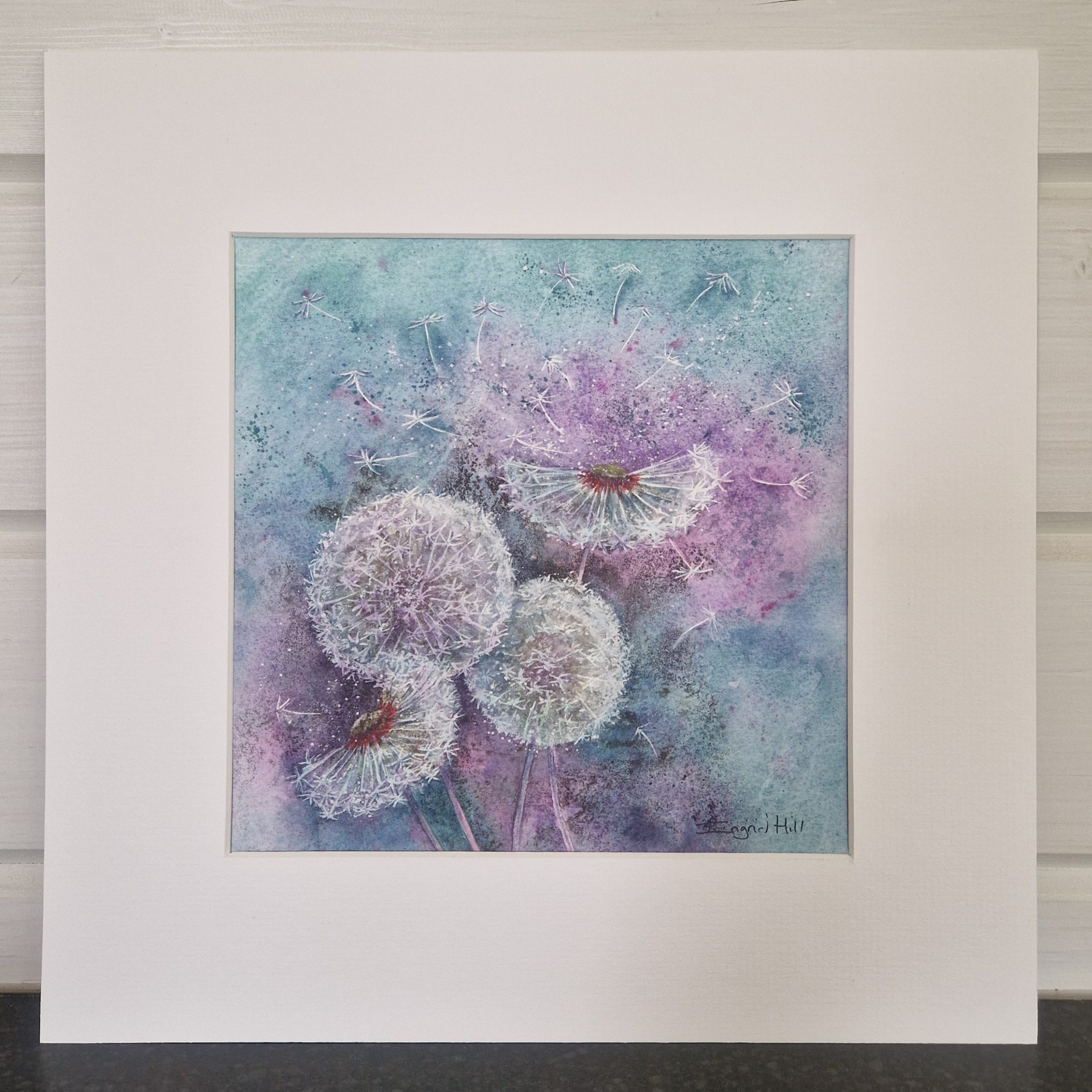 Print of a watercolour painting of dandelion seed heads
