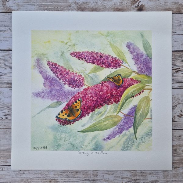 Print of a butterfly on a buddleia flower