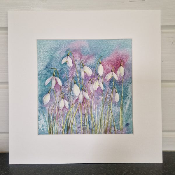 Print of a watercolour painting of snowdrop flowers