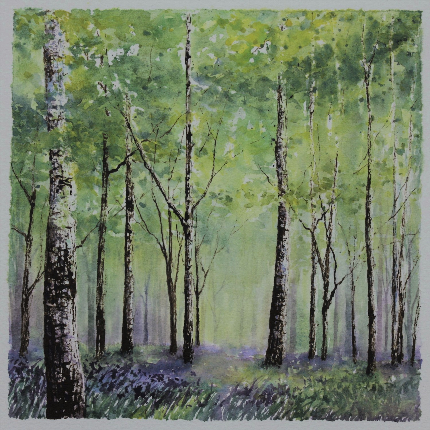Watercolour and ink bluebell wood