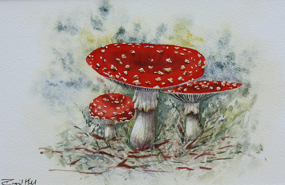 Red Toadstools painting