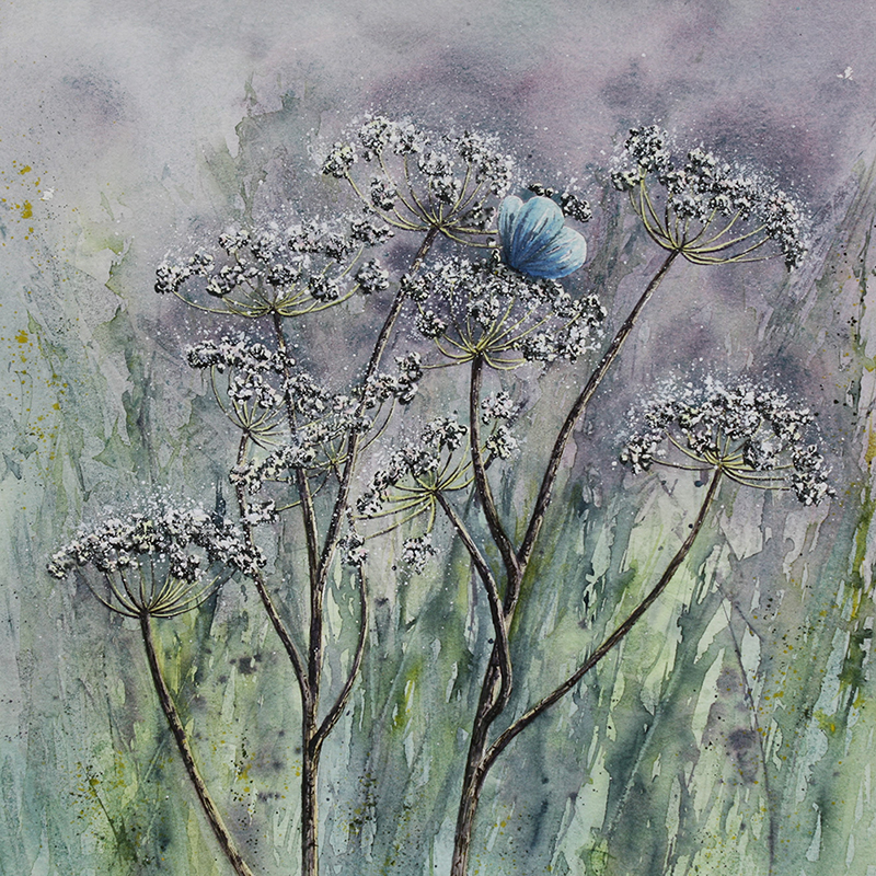Cow Parsley & Butterfly painting