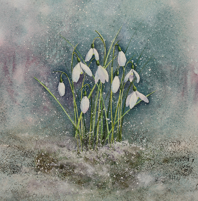 Snowdrops in the Snow painting
