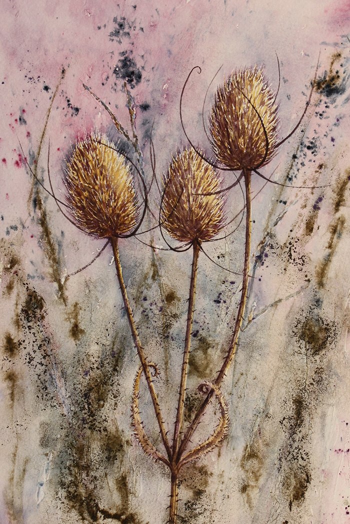 Teasel painting