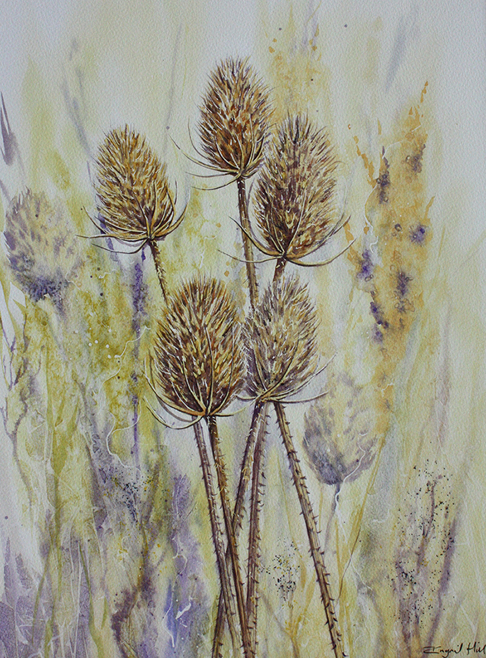 Teasels painitng