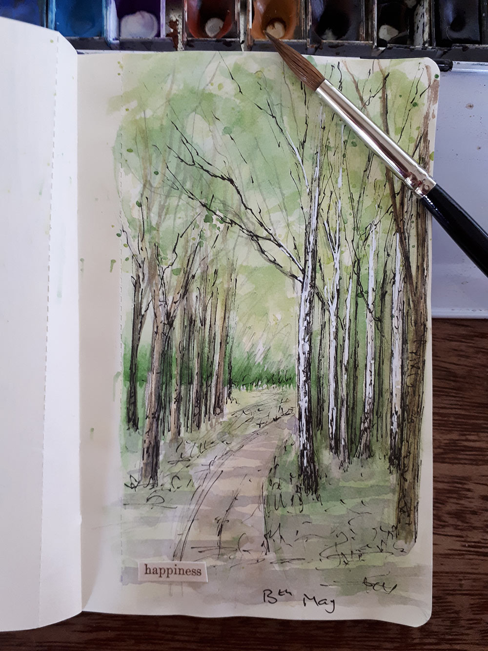 Woodland sketch