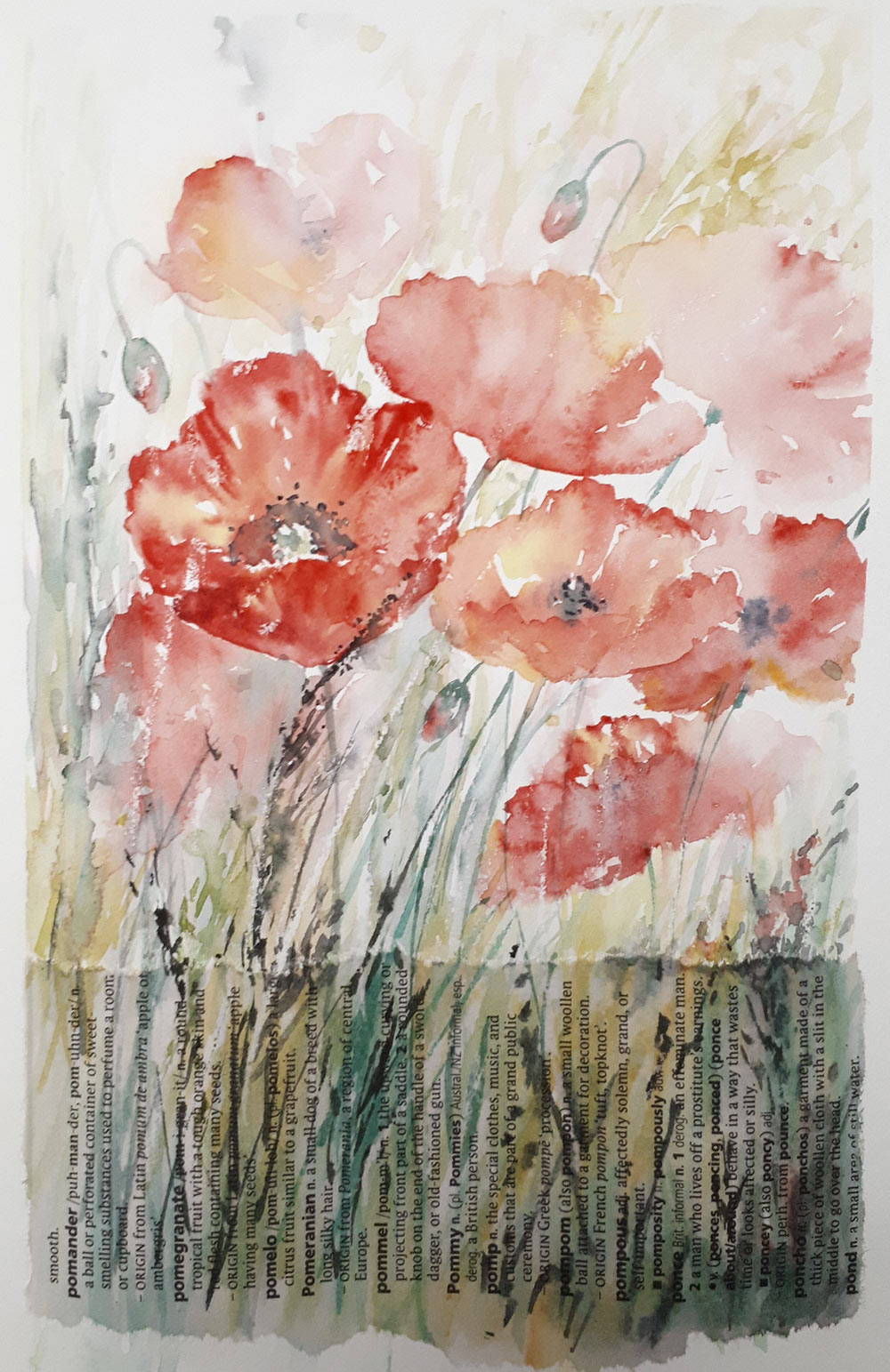 Poppies sketch