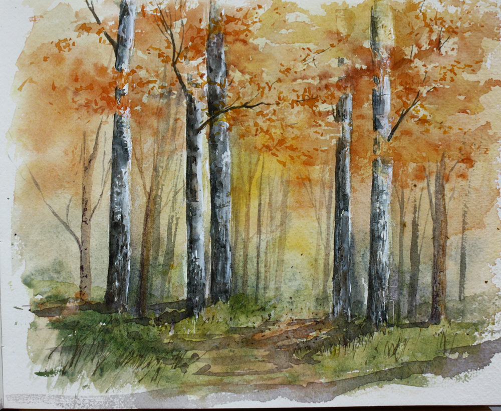 Autumn woodland sketch