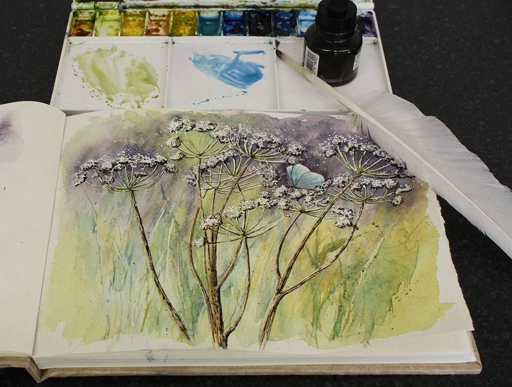 Cow parsley & butterfly sketch