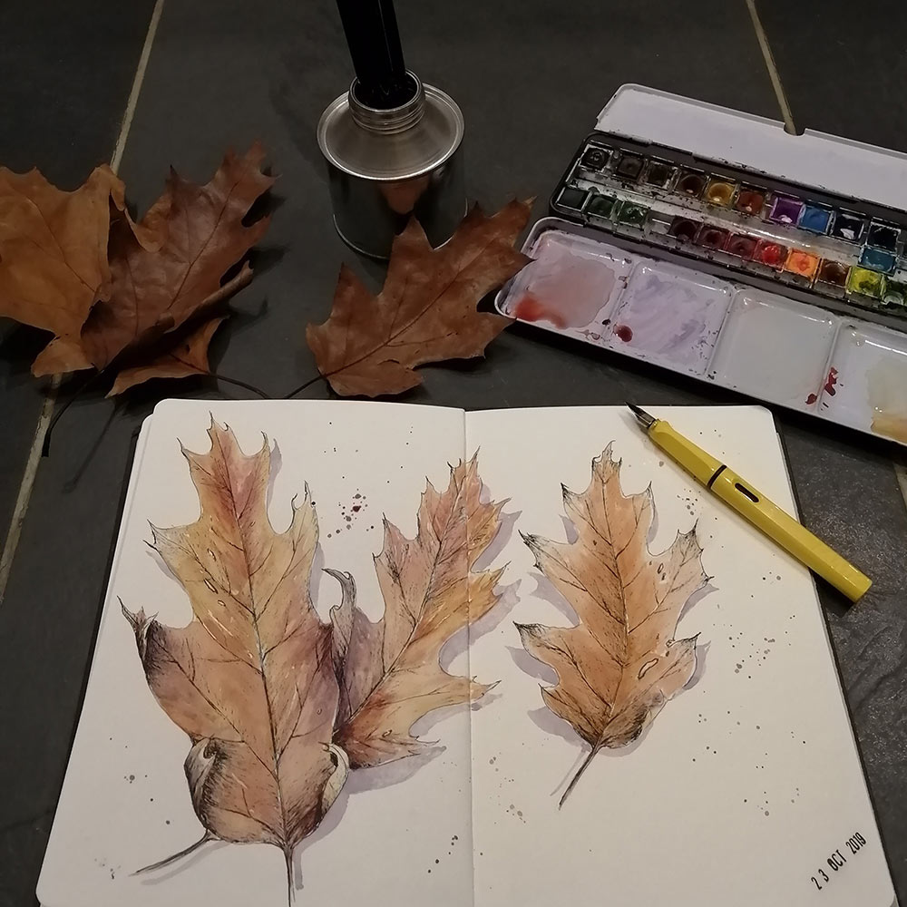Autumn Leaves pen & wash