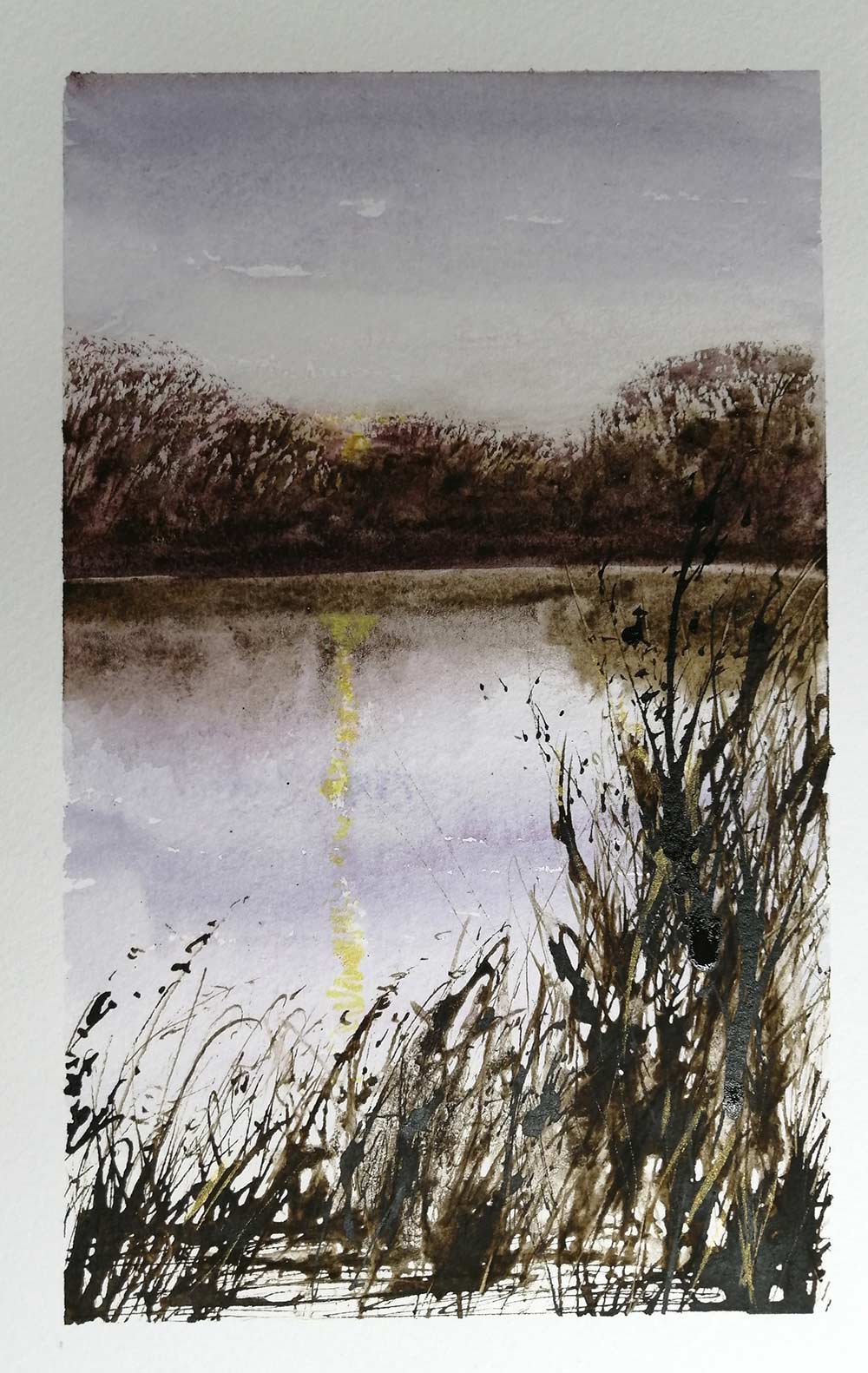Water & grasses sketch
