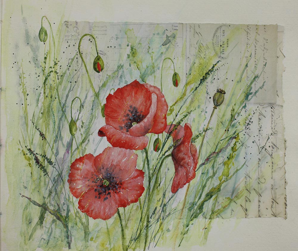sketchbook poppies page