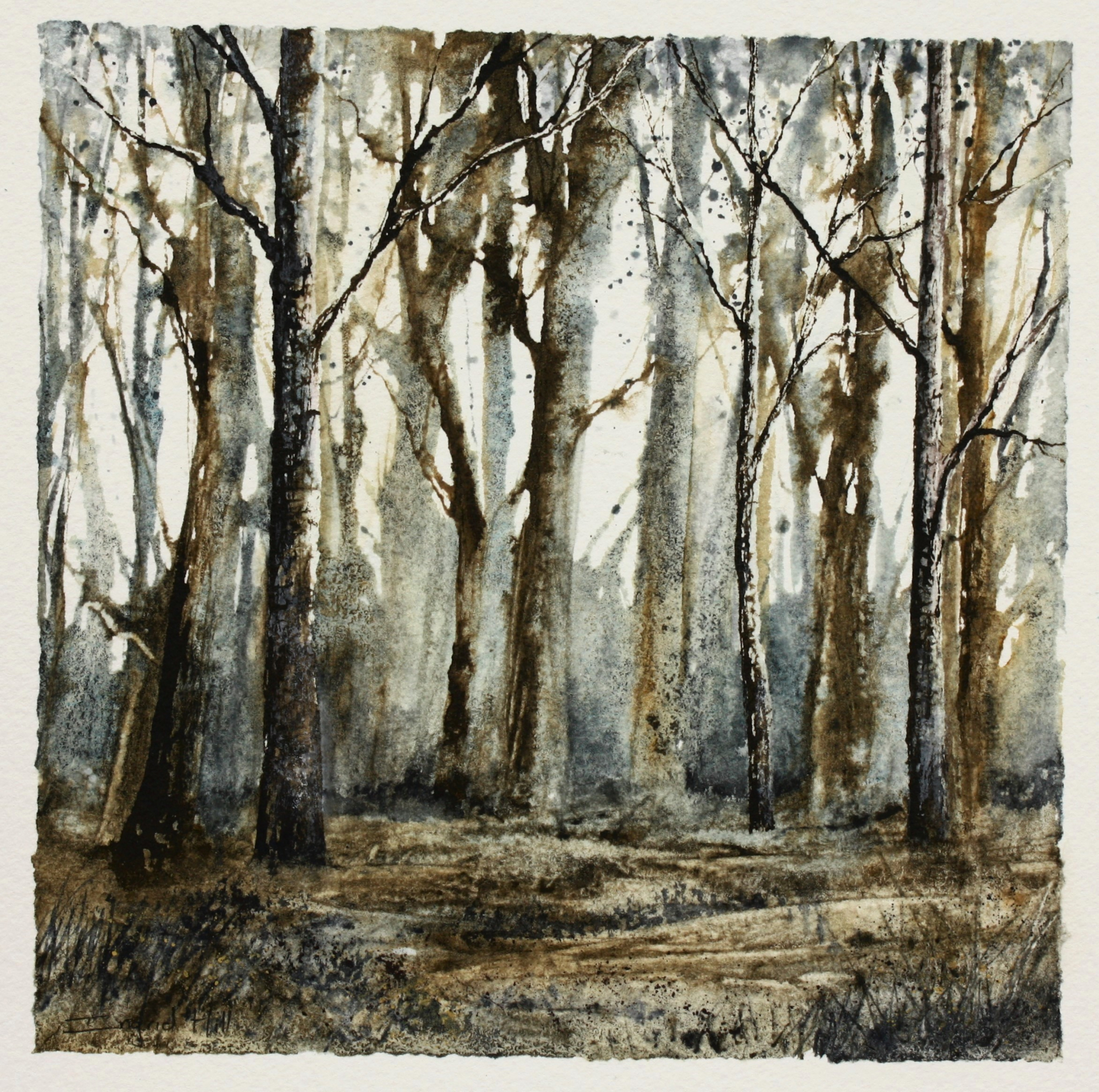 Chestnut Wood, Woodland Series