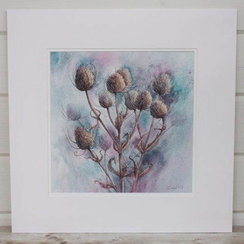 Standing Proud Teasel Watercolour Mounted