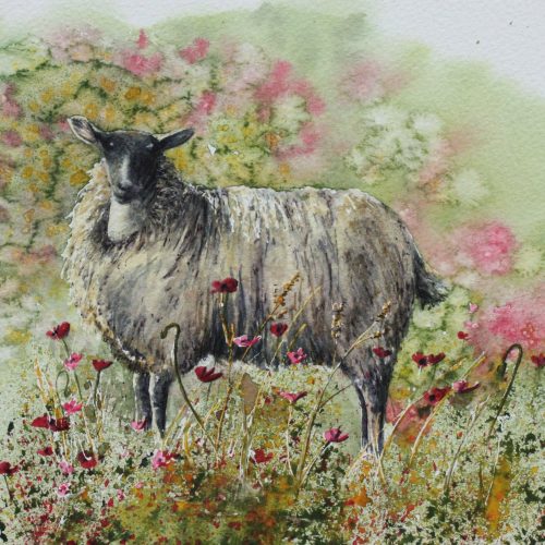 Watching Ewe - a sheep greetings card