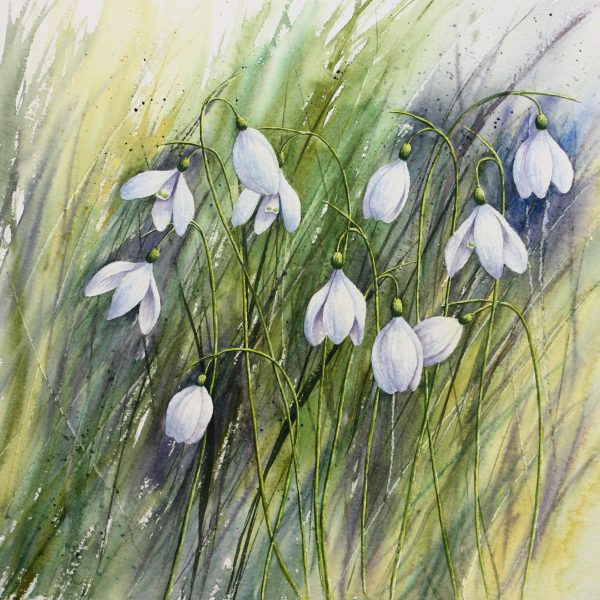 Winter Gems - a Snowdrops greetings card