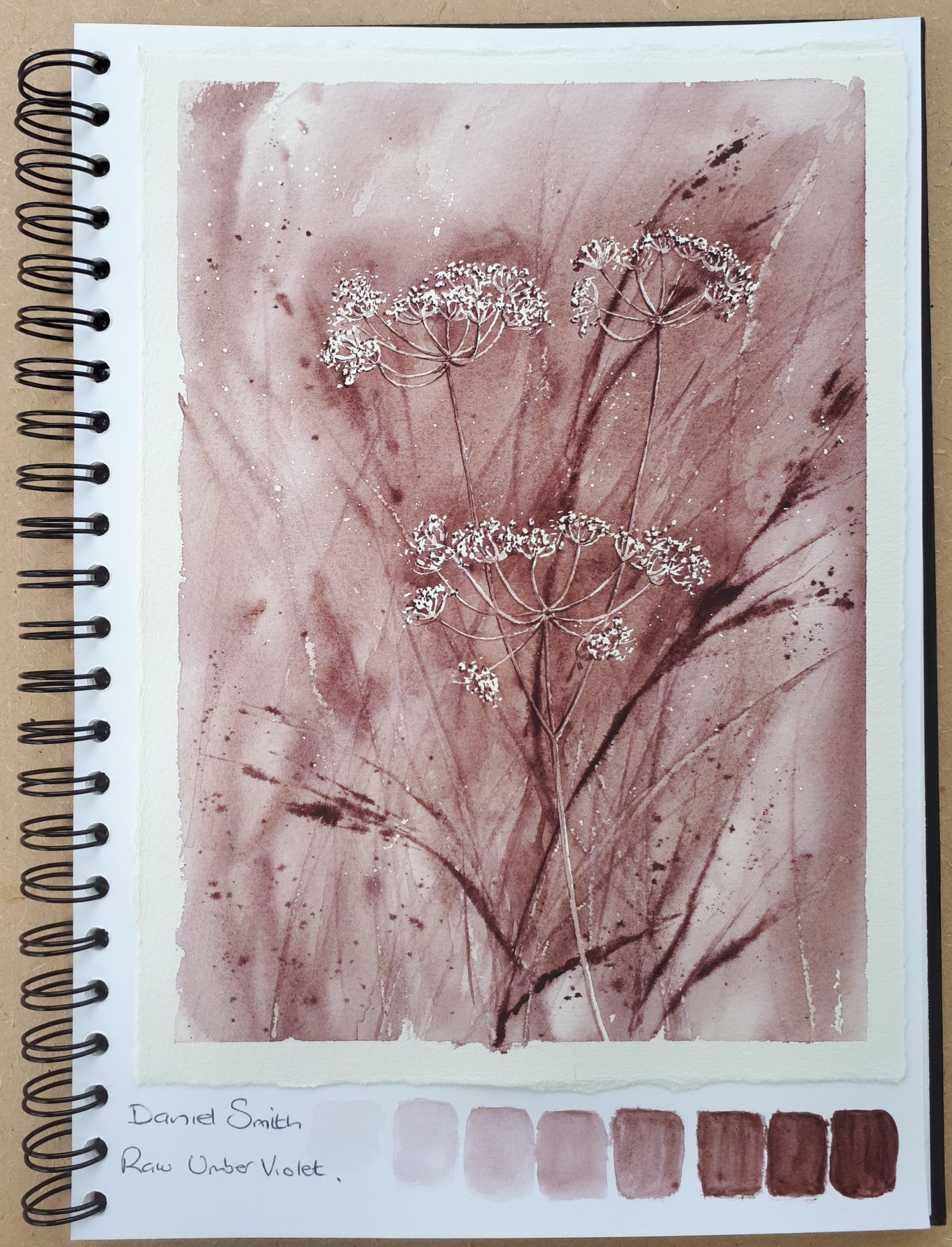 Daniel Smith Raw Umber Violet watercolour study of cow parsley