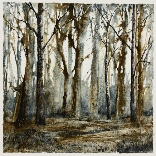 Chestnut Wood mixed media woodland scene