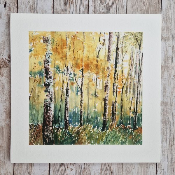 Autumn Light is a colourful woodland painting