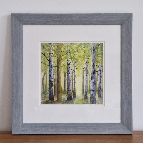 Framed woodland painting of silver birches