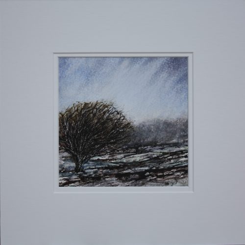 Mixed media painting of a windswept hawthorn tree