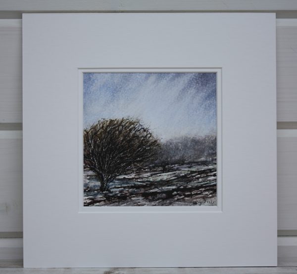 Mounted painting of a windswept tree