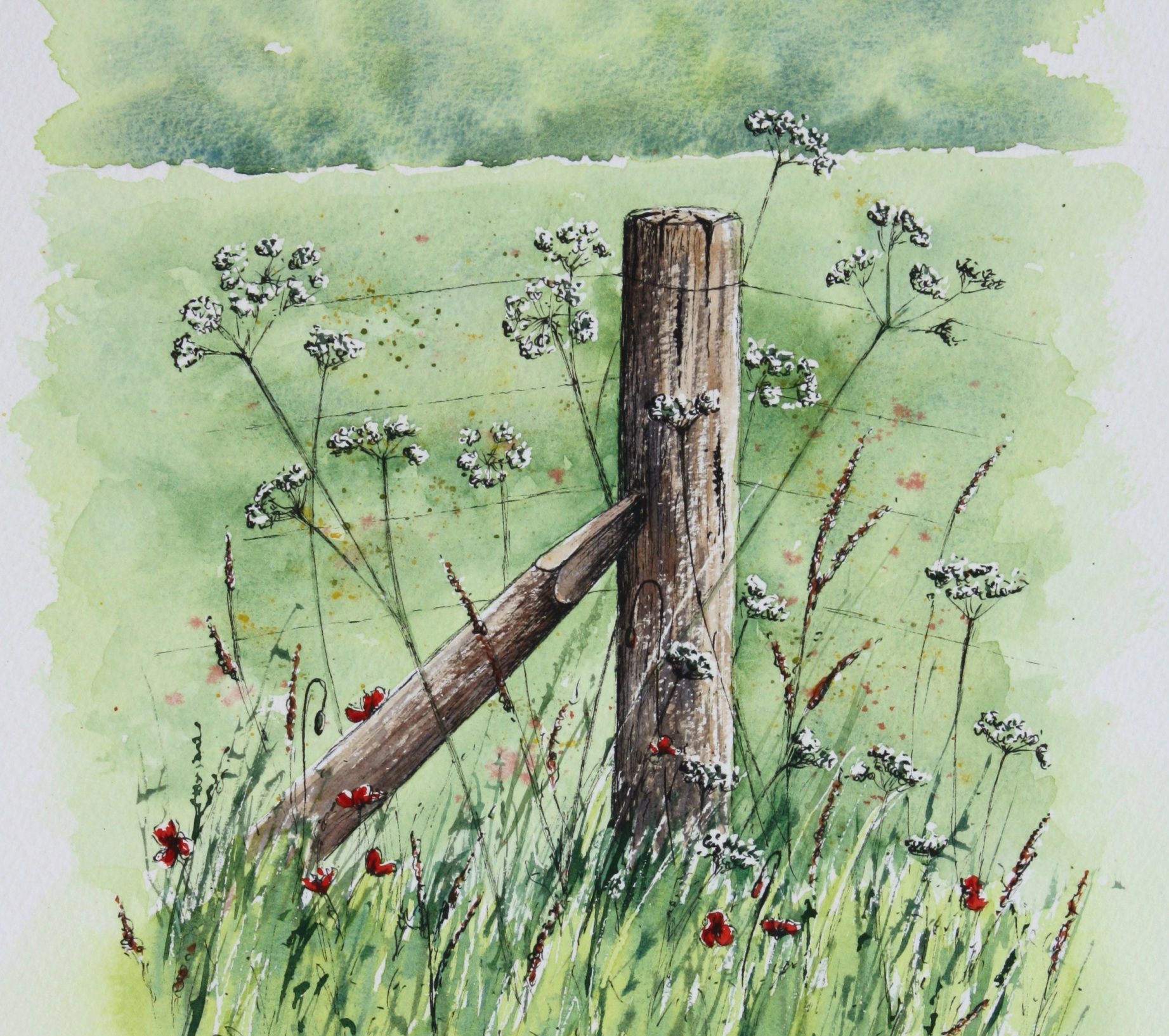 Pen and Wash painting of a rustic fence post with wildflowers around it.