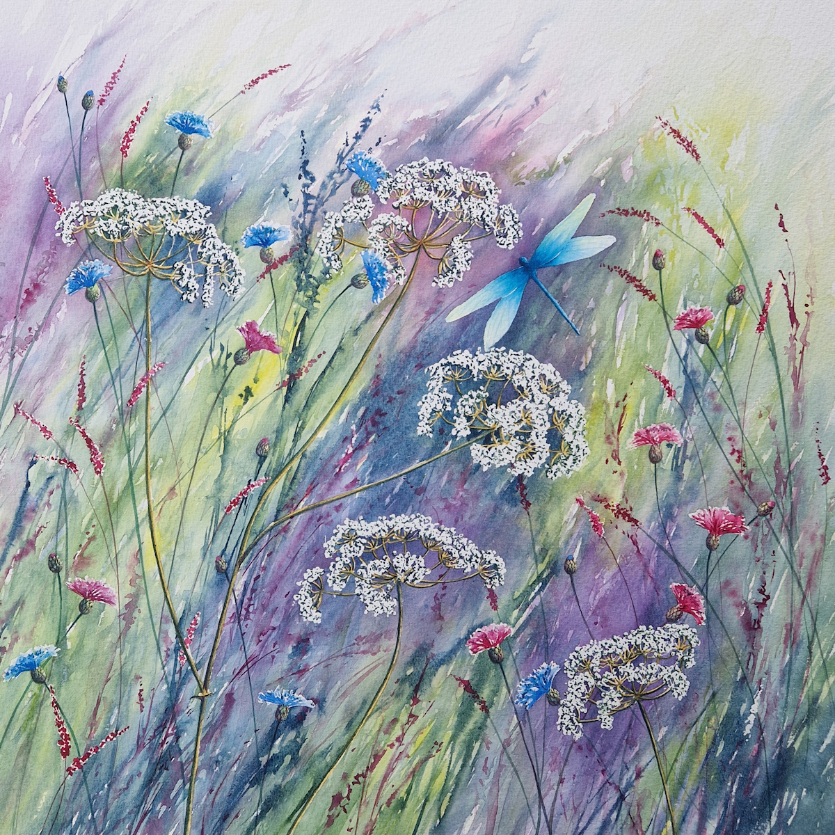 Fleeting Glimpses is a print taken from a watercolour painting of wild flowers and a blue dragonfly.