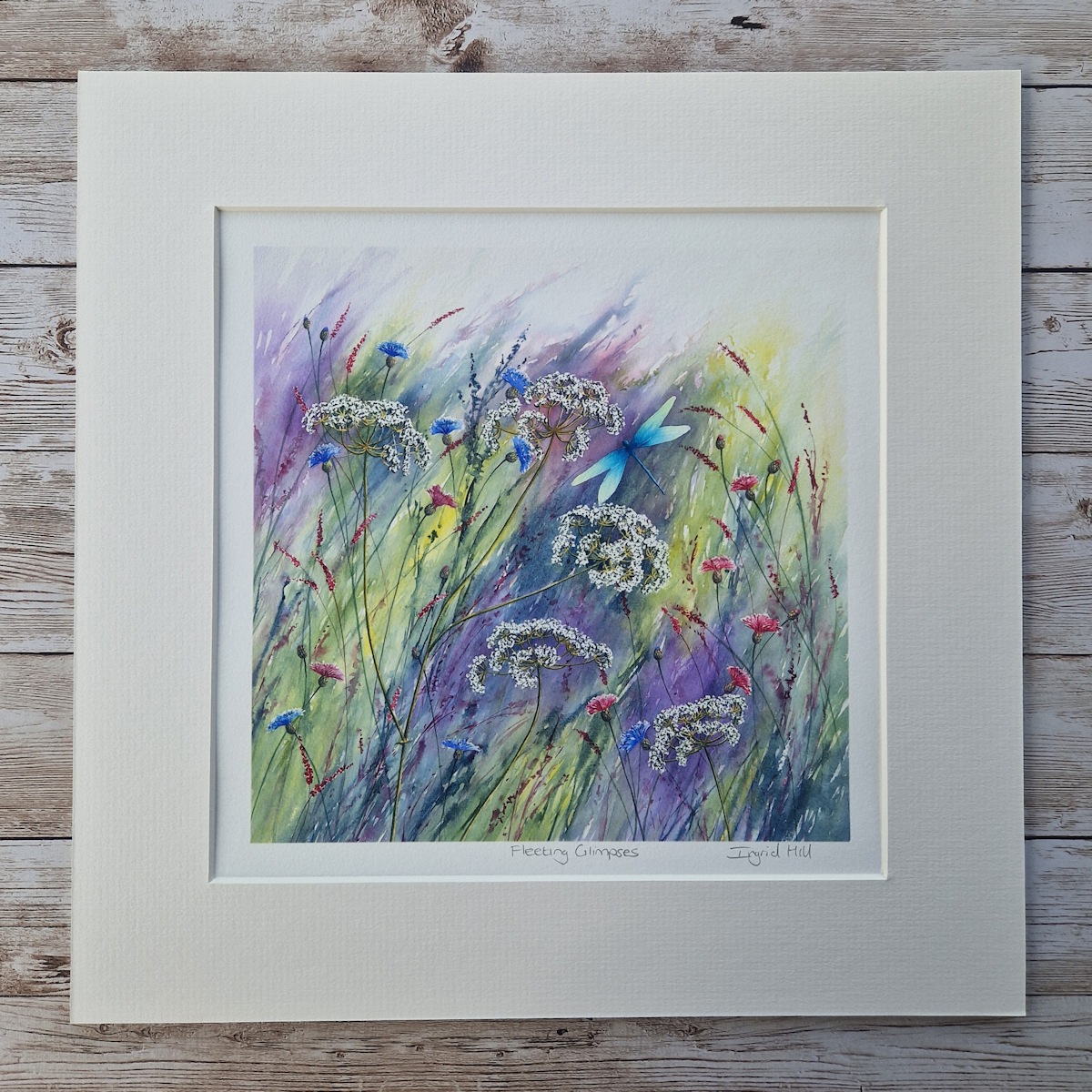 A print taken from a watercolour painting, Fleeting Glimpses, of wild flowers and a blue dragonfly.