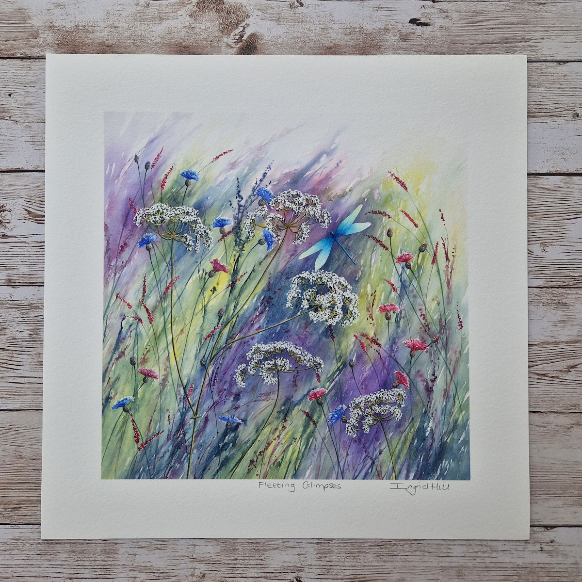 A print taken from a watercolour painting, Fleeting Glimpses, of wild flowers and a blue dragonfly.